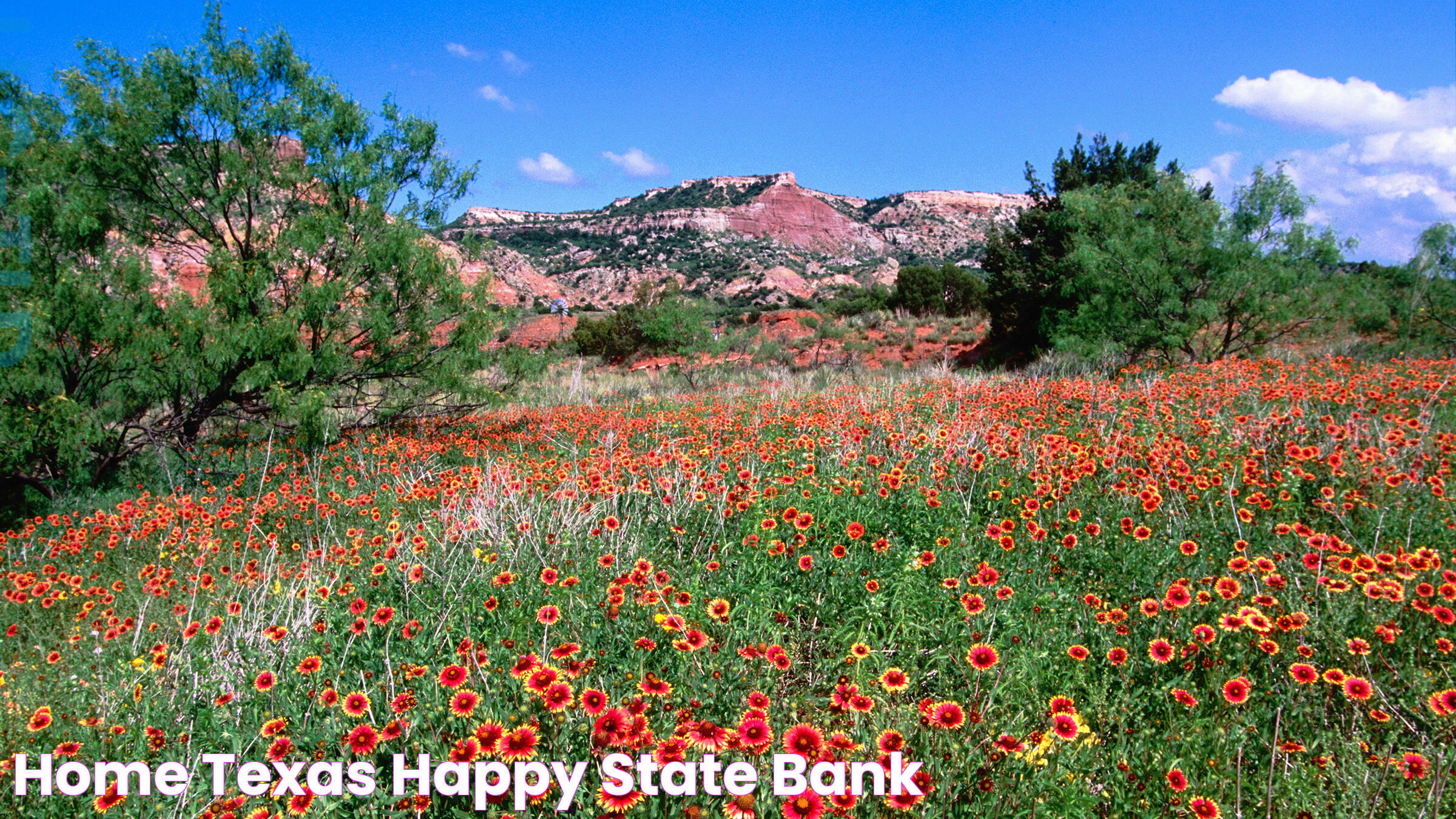 Happy State Bank: Your Trusted Financial Partner For A Brighter Future